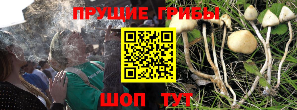 Псилоцибиновые грибы MAGIC MUSHROOMS Оренбург